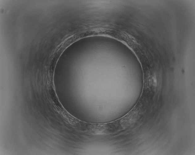 X0000064041158200601271155