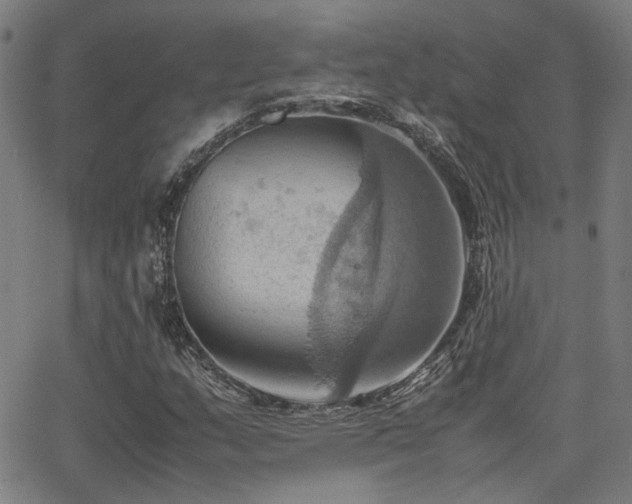 X0000064041159200601271155