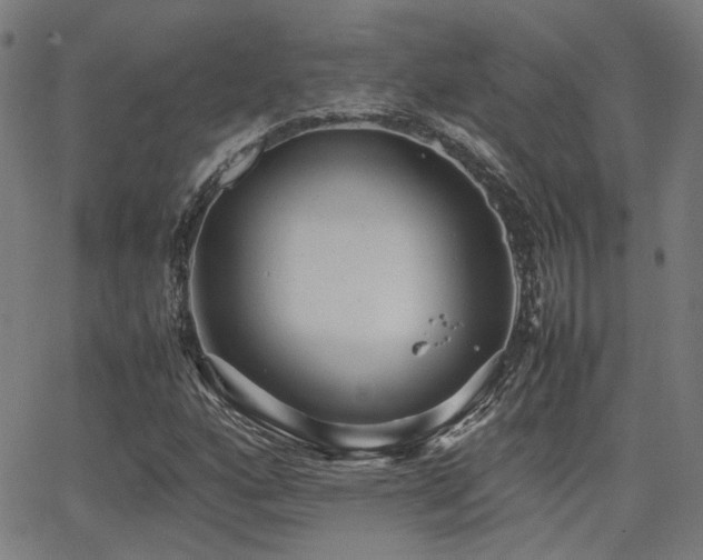 X0000064041160200601271155