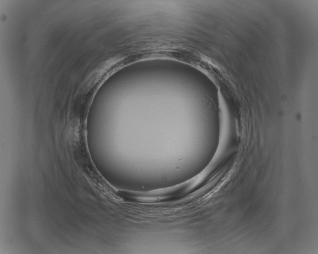 X0000064041161200601271155