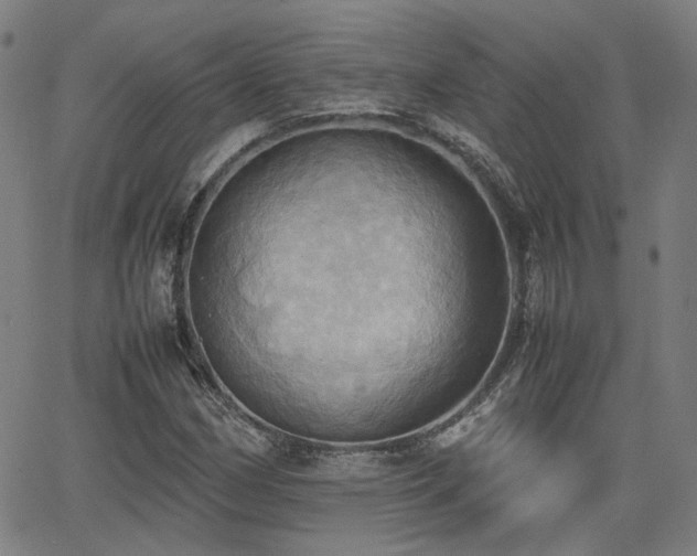 X0000064041162200601271155