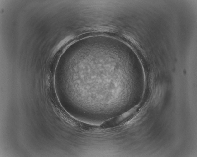 X0000064041163200601271155