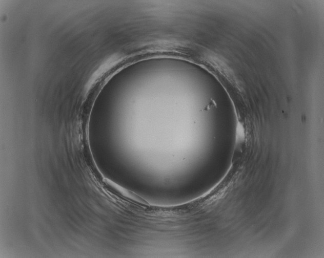 X0000064041164200601271155