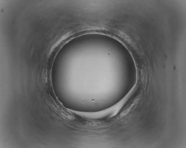 X0000064041165200601271155