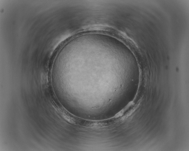 X0000064041166200601271155