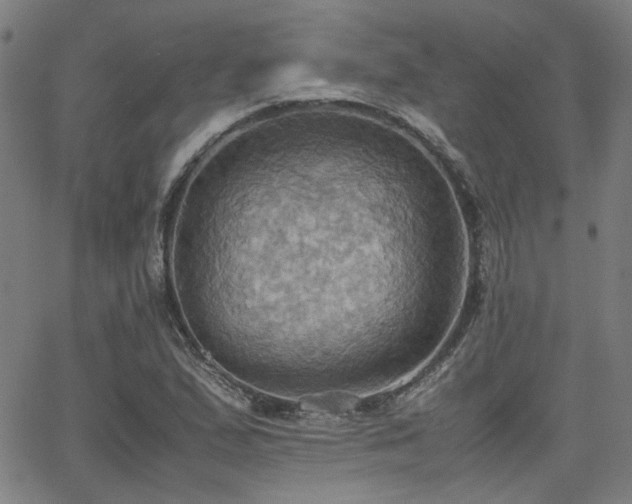 X0000064041167200601271155