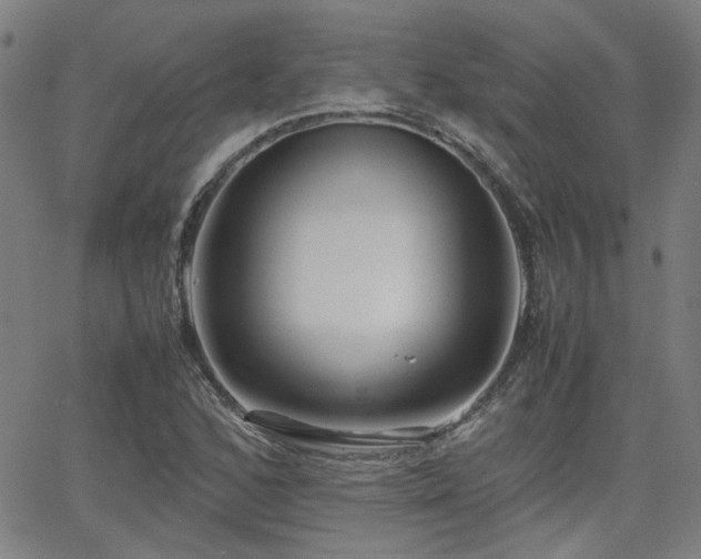 X0000064041168200601271155