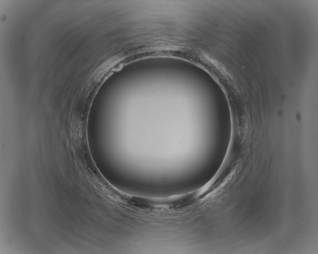 X0000064041169200601271155