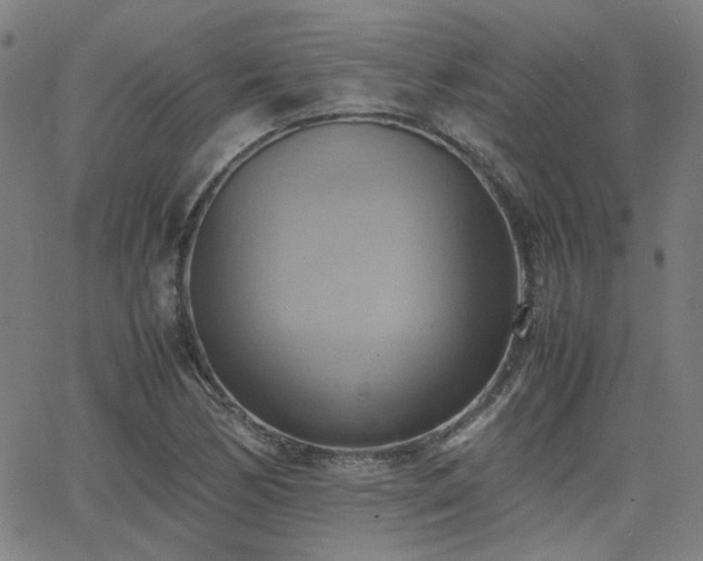 X0000064041170200601271155