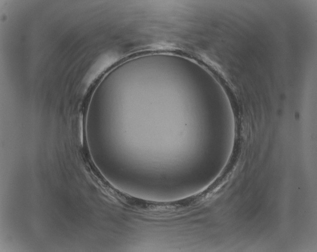 X0000064041171200601271155