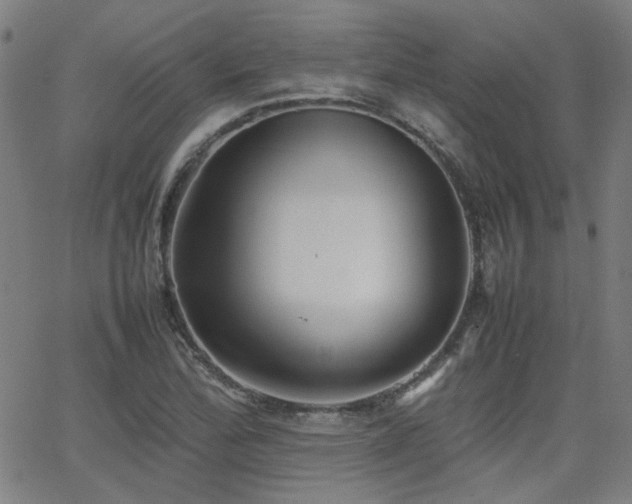 X0000064041172200601271155