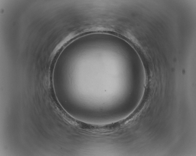 X0000064041173200601271155