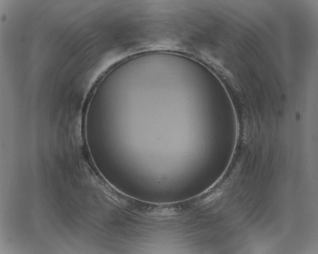 X0000064041174200601271154