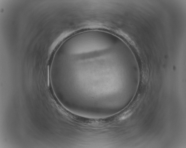 X0000064041175200601271154