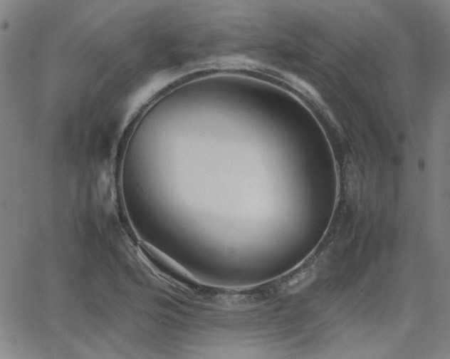 X0000064041176200601271154