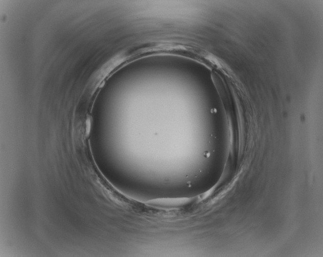 X0000064041177200601271154