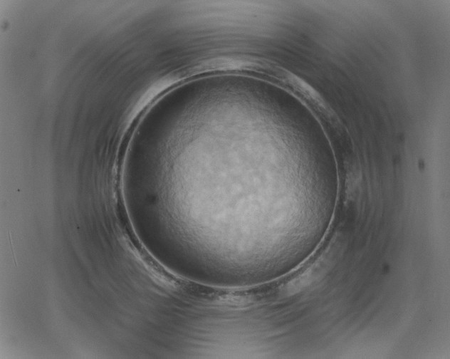 X0000064041178200601271154