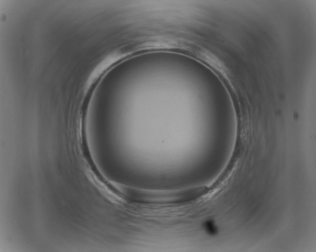 X0000064041179200601271154