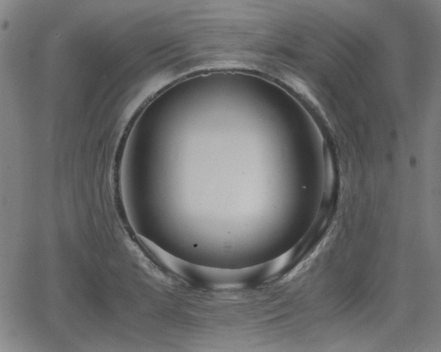 X0000064041181200601271154