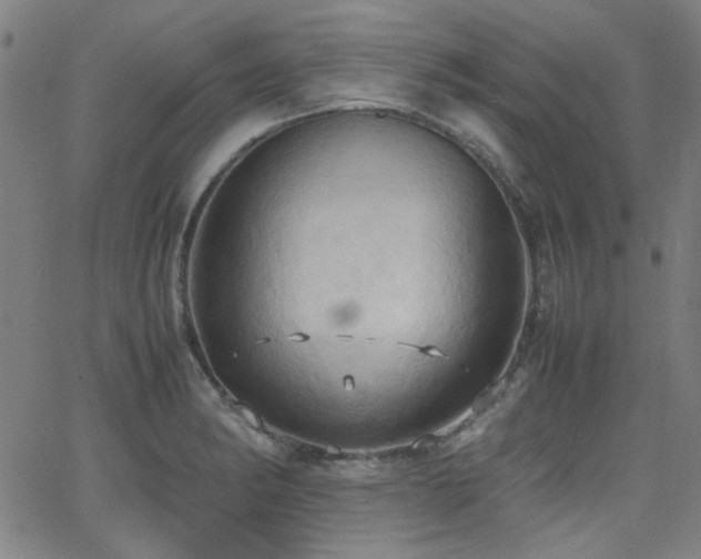 X0000064041182200601271154