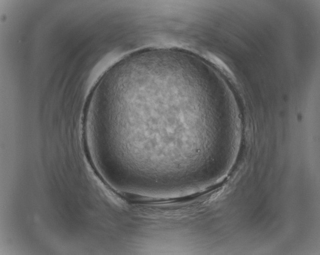 X0000064041183200601271154