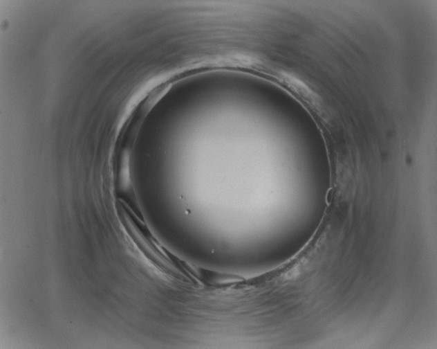 X0000064041184200601271154