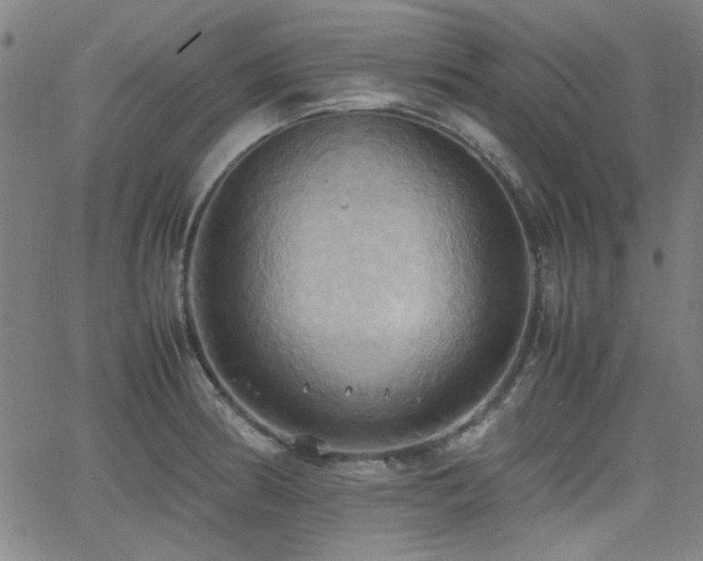 X0000064041186200601271154