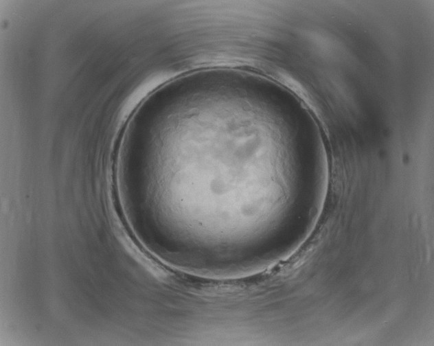 X0000064041187200601271154