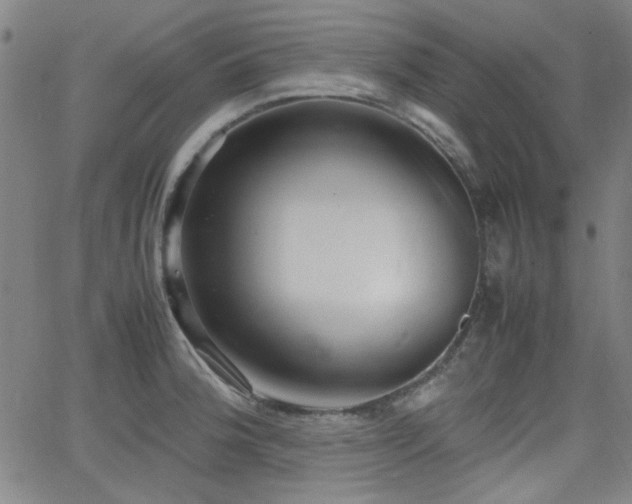 X0000064041188200601271154