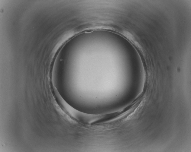 X0000064041189200601271154