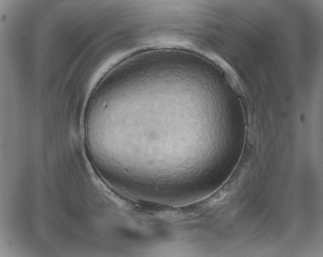 X0000064041191200601271154