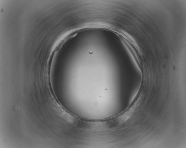 X0000064041192200601271154