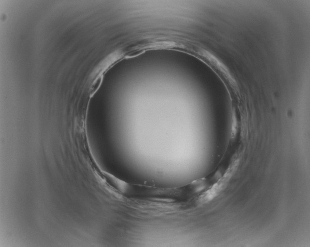 X0000064041193200601271154