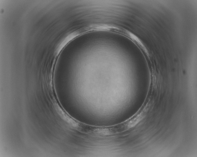 X0000064041194200601271154