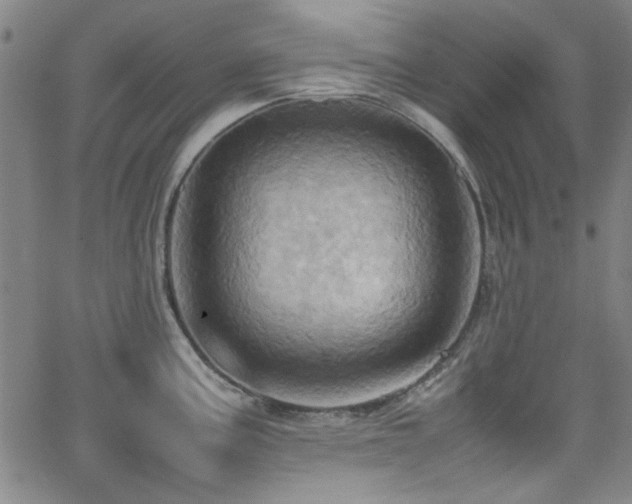 X0000064041195200601271154