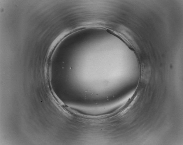 X0000064041196200601271154