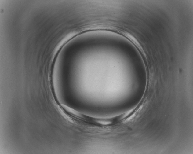 X0000064041197200601271154