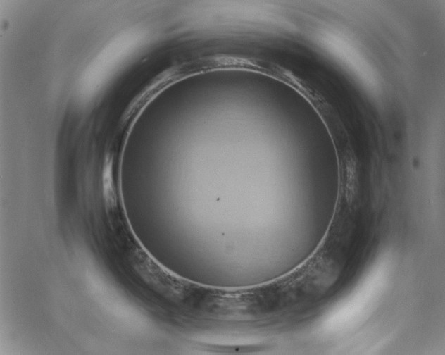 X0000064041198200601271154