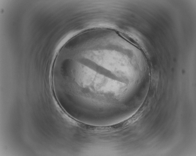 X0000064041199200601271154