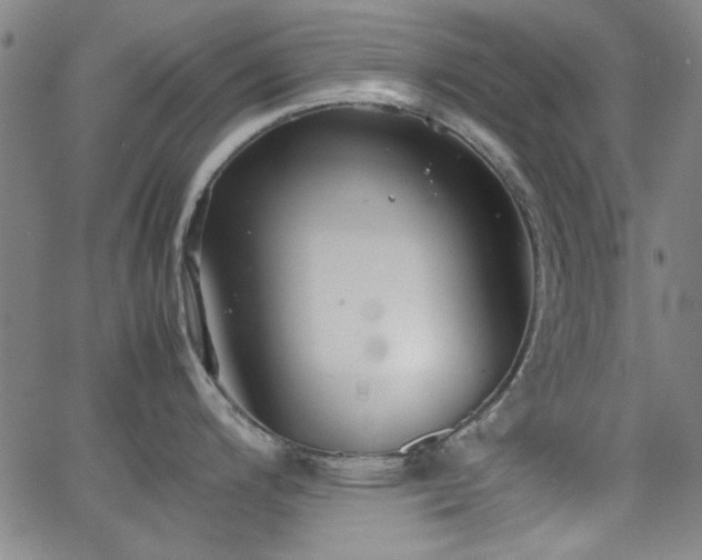 X0000064041200200601271154