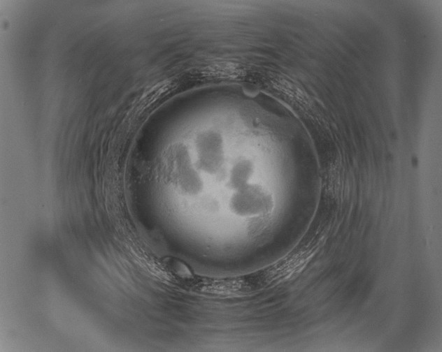 X0000064041201200601271153