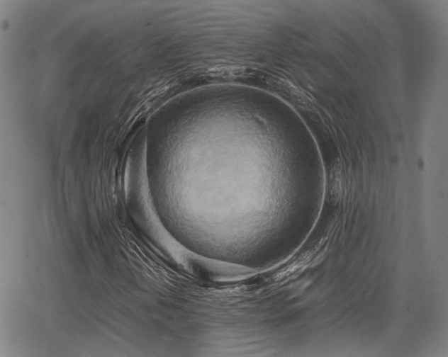 X0000064041202200601271153