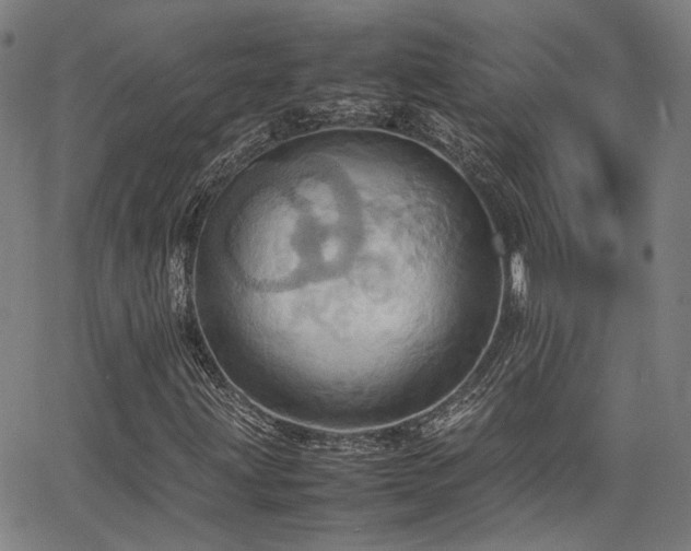 X0000064041203200601271153