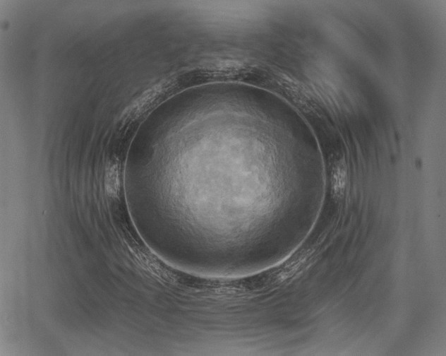 X0000064041204200601271153