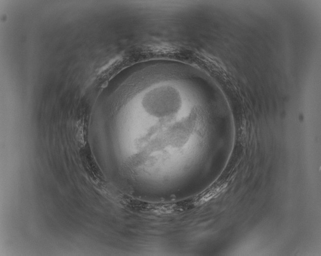 X0000064041205200601271153