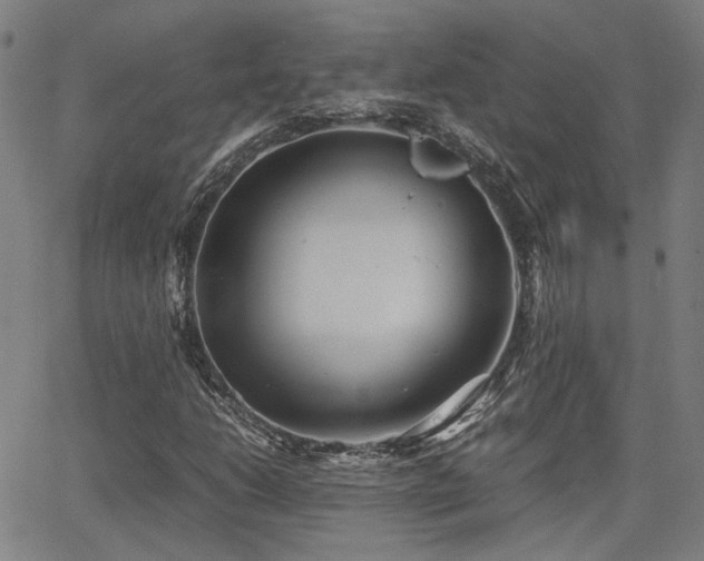 X0000064041206200601271153