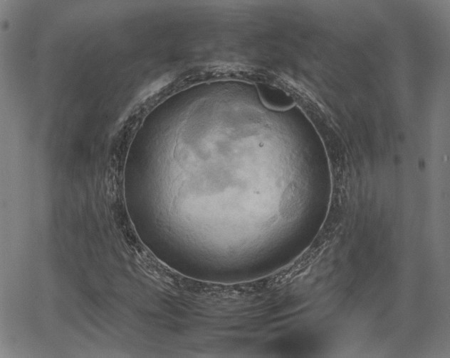 X0000064041207200601271153