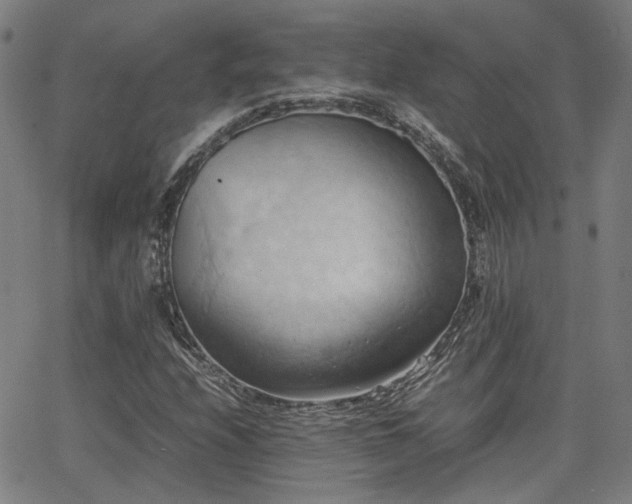 X0000064041208200601271153