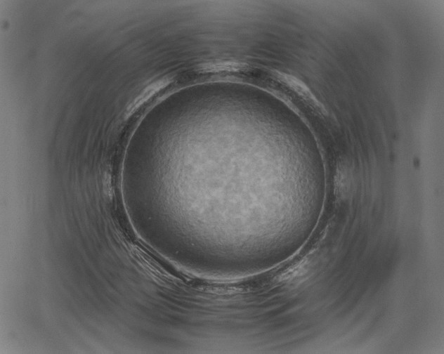 X0000064041209200601271153