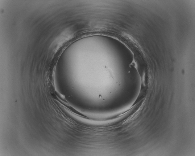 X0000064041210200601271153